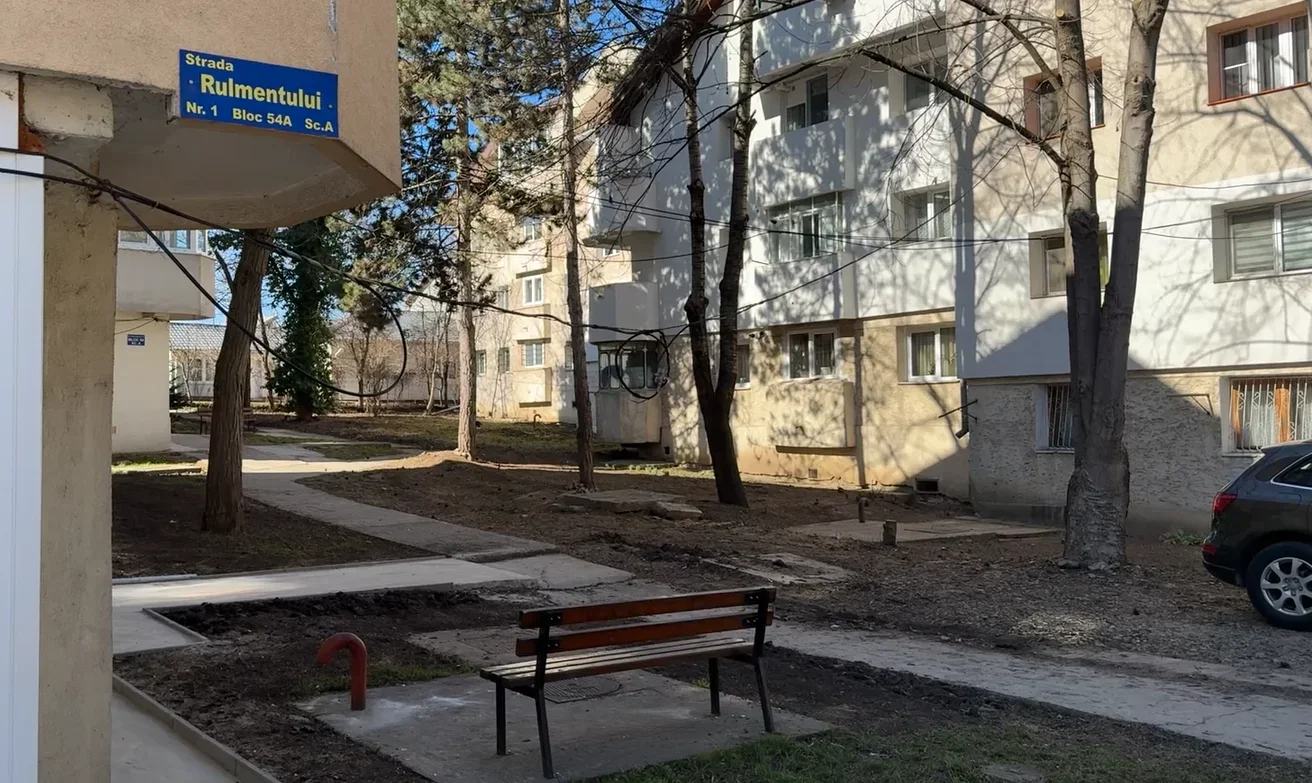 Gardurile vii au dispărut din mai multe cartiere ale Sucevei