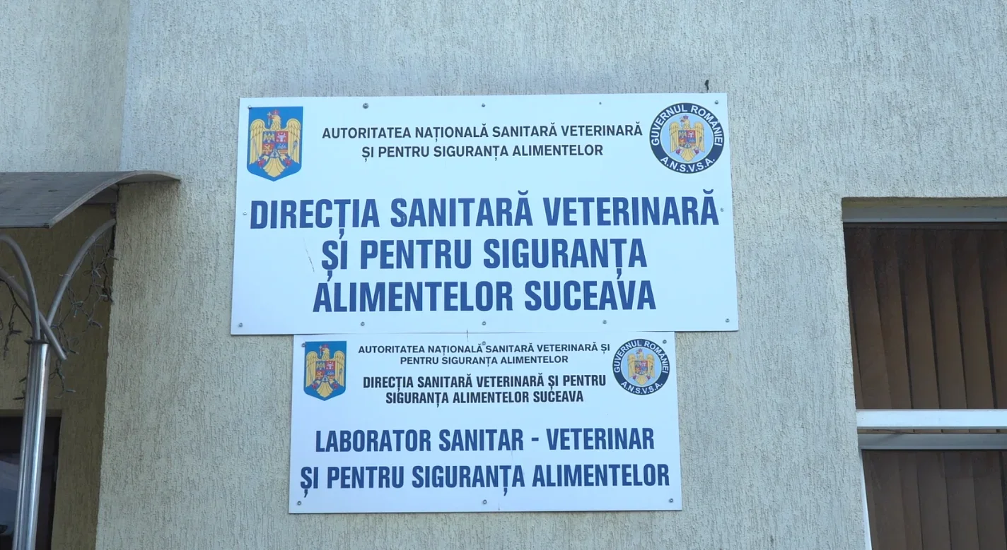 Controale în lanț pentru câinii fără stăpân, în Suceava