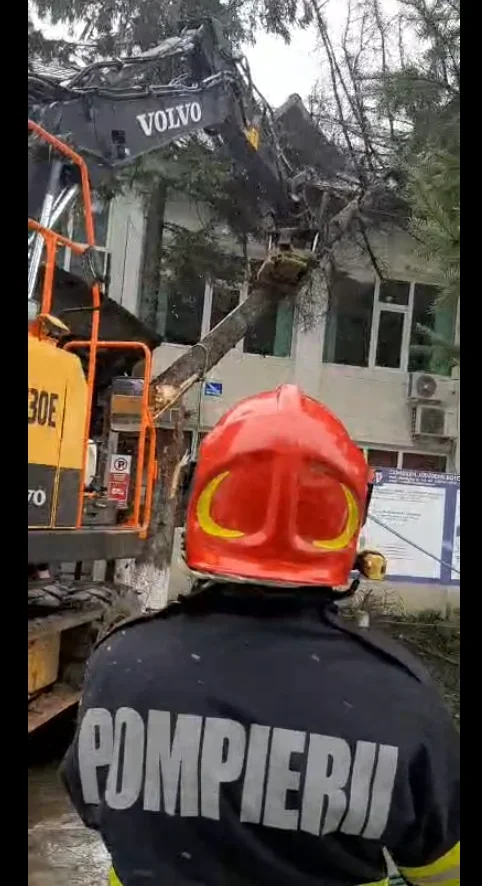 Alertă la spitalul din Darabani: copac căzut pe acoperiș