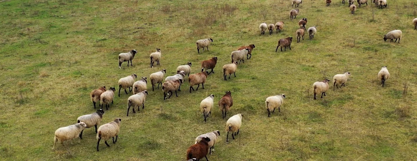 Fermierii suceveni au nevoie de susținerea comunității
