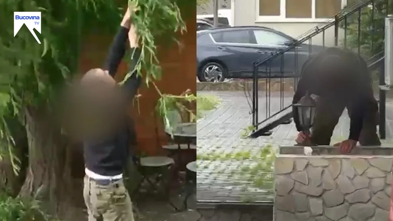 Scenă neobișnuită în Suceava: un bărbat a încercat să mute un autoturism și un copac