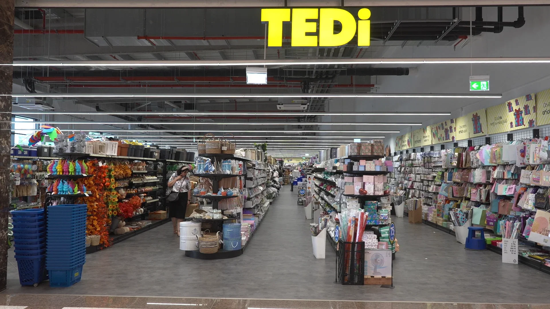Tot ce ai nevoie pentru vacanță, la Tedi