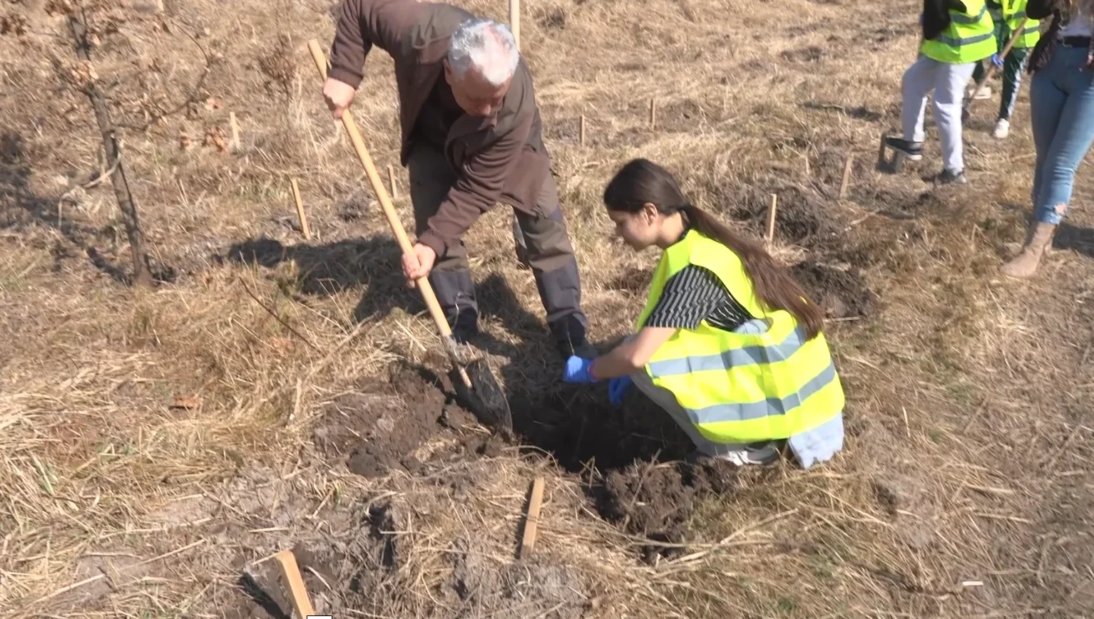 Voluntariat pentru natură în Suceava